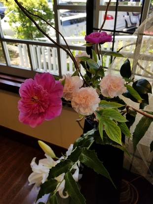 テニス発祥記念館　いけ花   