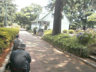 ～続・紫陽花～