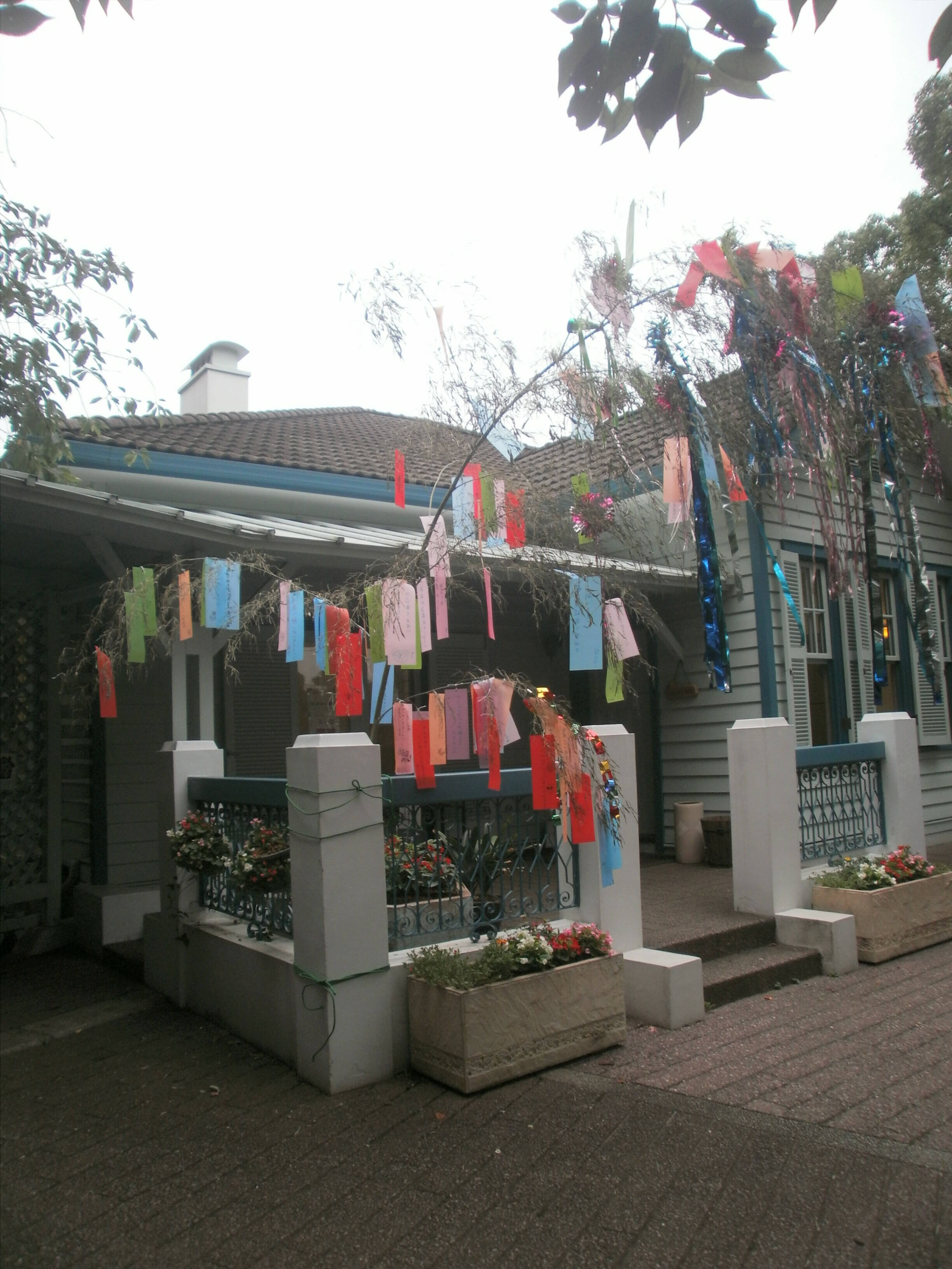 68番館の七夕かざりの写真