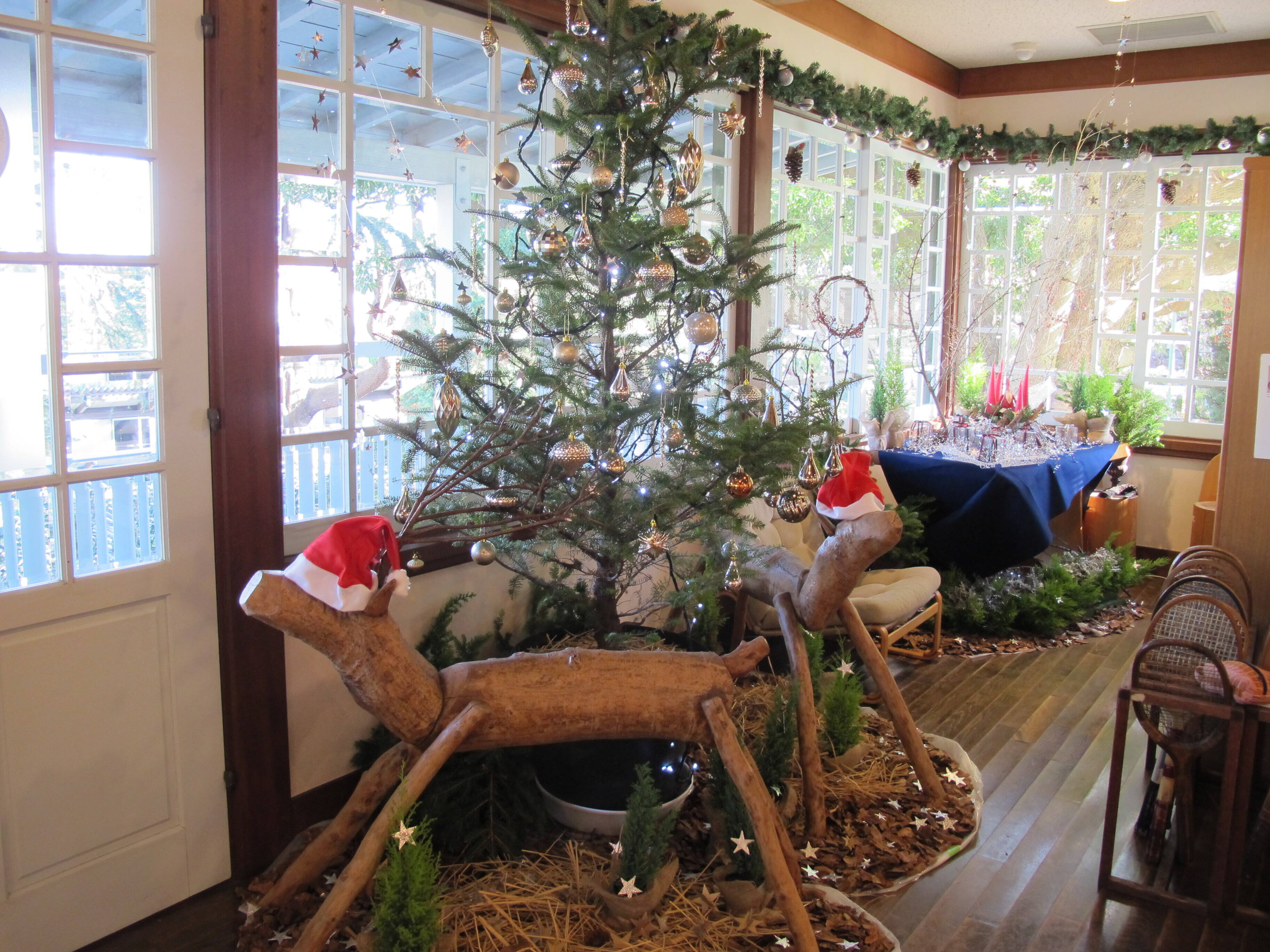 ✰✰テニス発祥記念館のクリスマス2019✰✰の写真