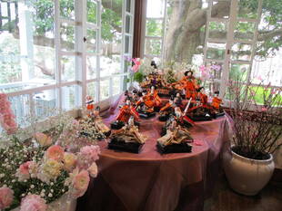 テニス発祥記念館 ✤✤お雛さま✤✤