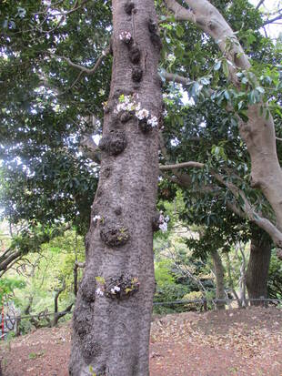 ❣❣ 静かな公園 ❣❣