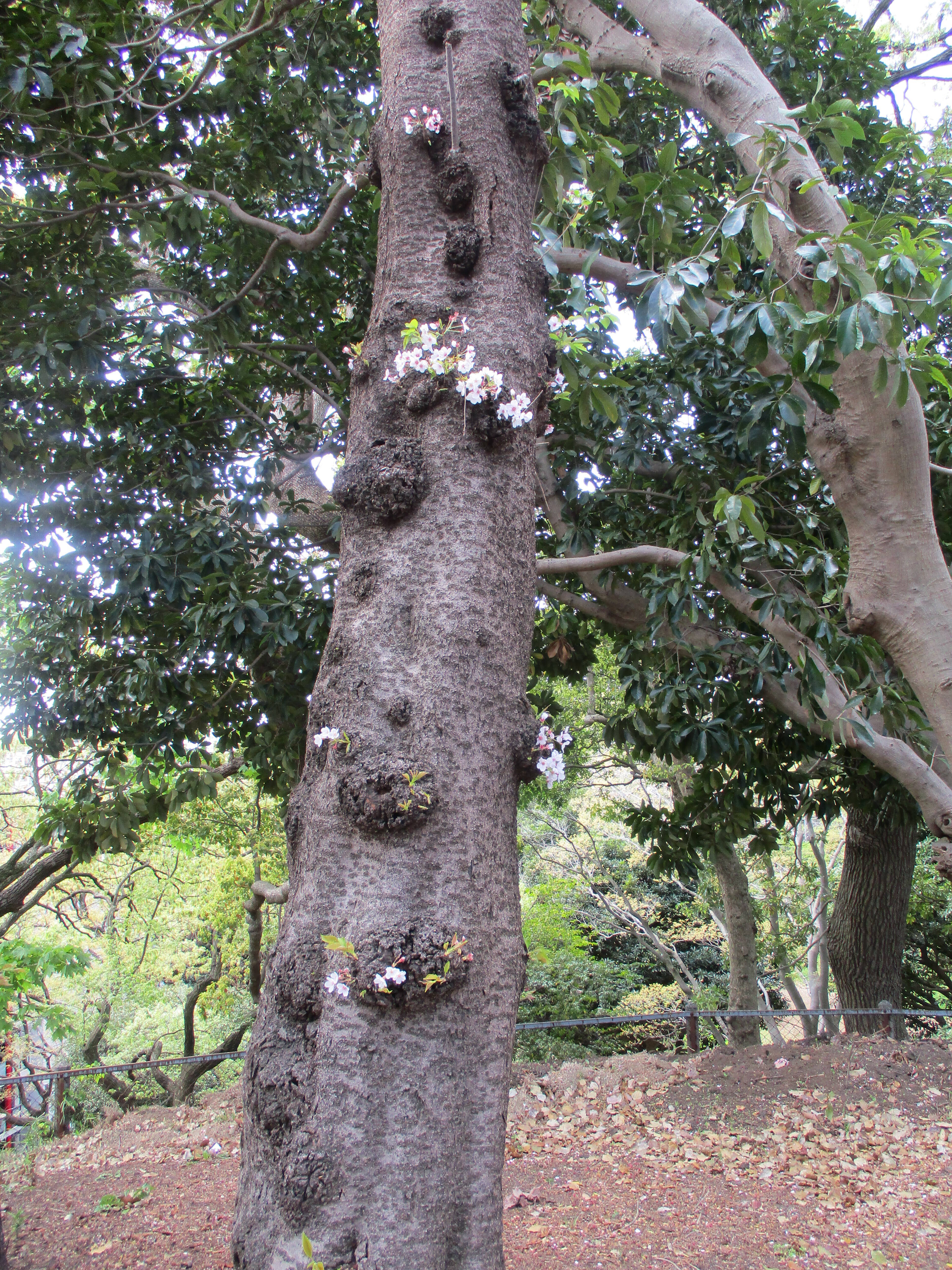 ❣❣ 静かな公園 ❣❣の写真