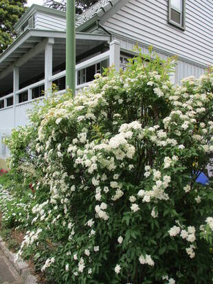 ❣❣ 静かな公園その2 ❣❣