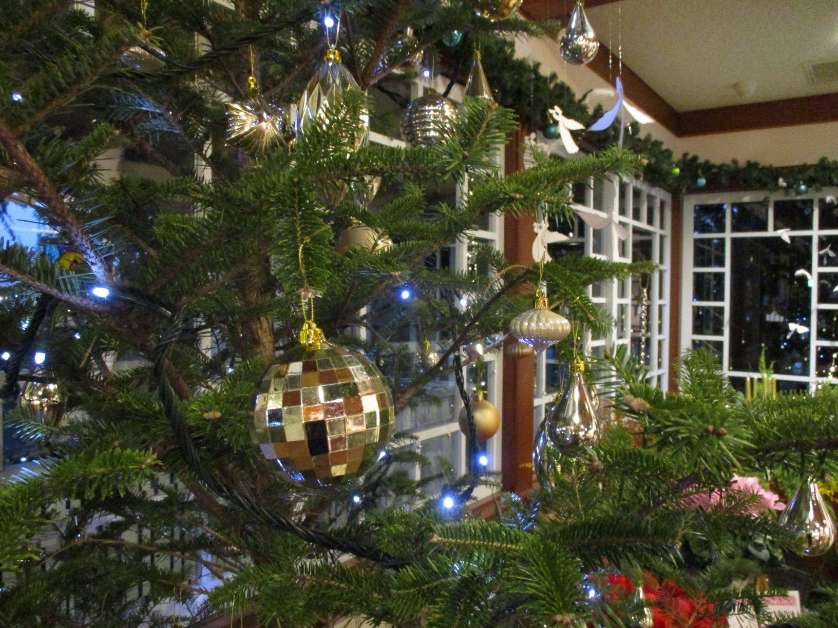 テニス発祥記念館クリスマス2020 ~ひかりのクリスマス~の写真