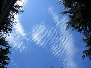 ✶夏の公園　 雲と遊ぶ✶