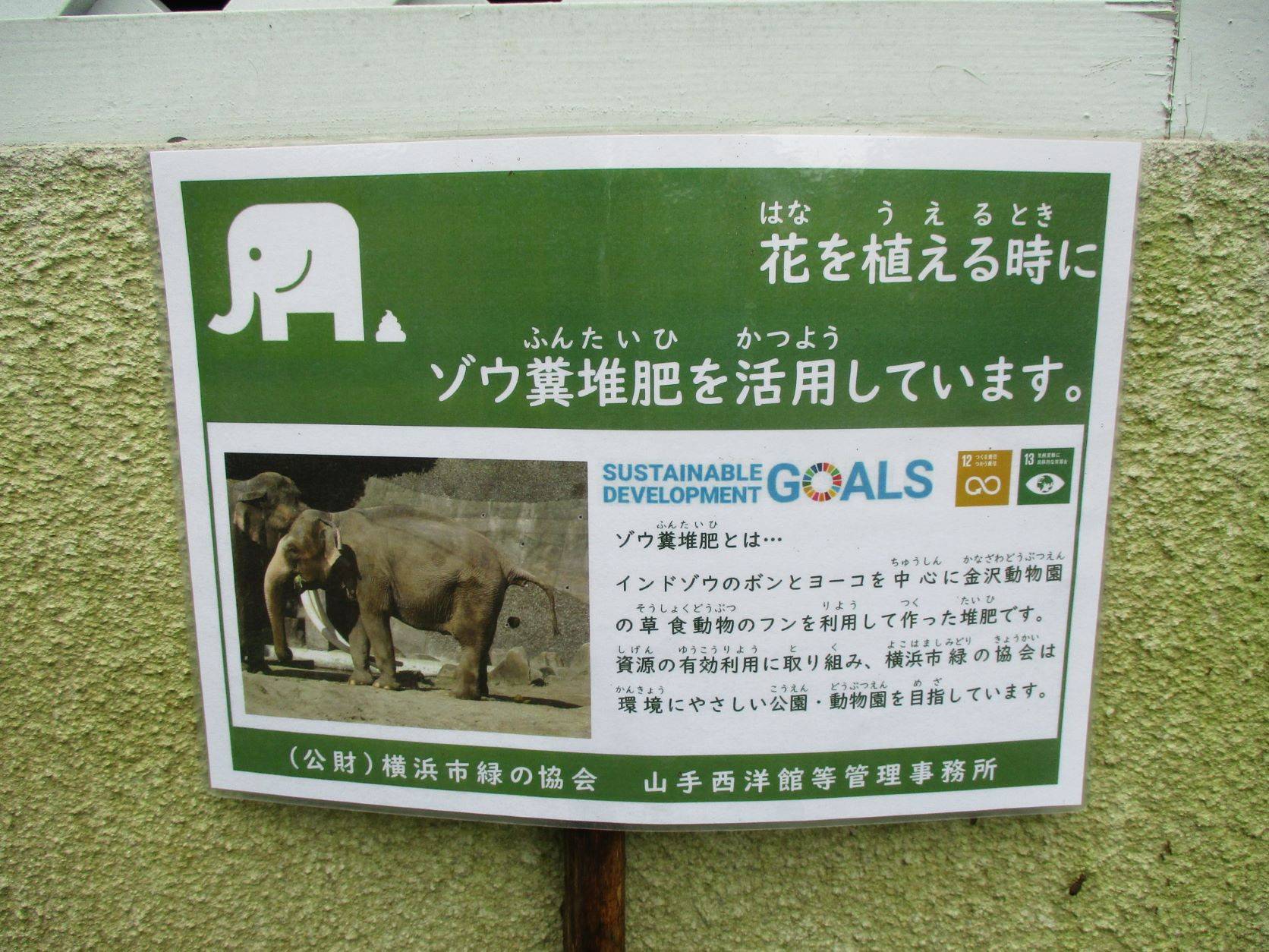 ❂ゾウのおかげ❂の写真