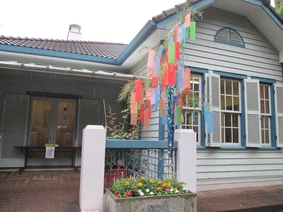 星に願いをの写真