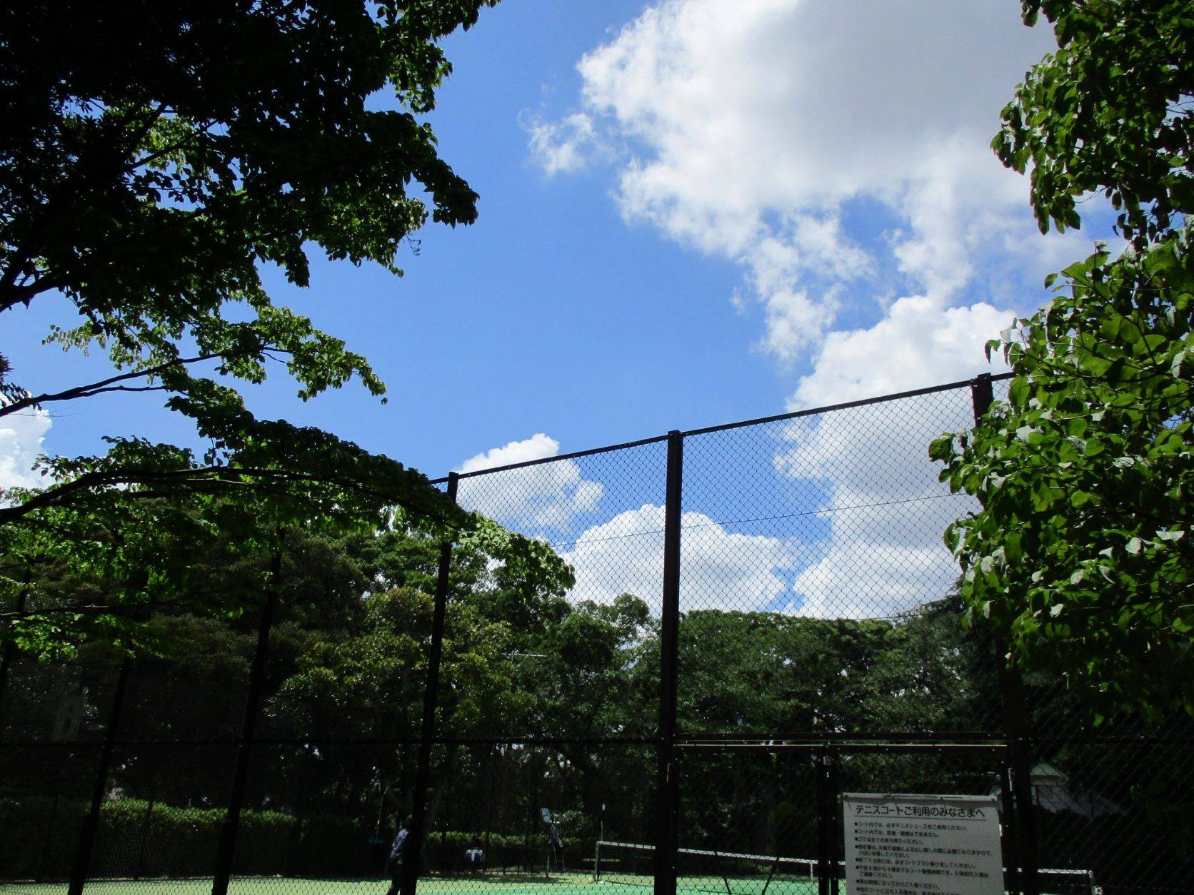 ✵夏空✵の写真