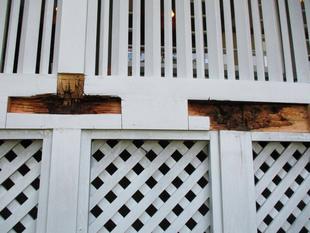 ❏テニス発祥記念館　工事中❏