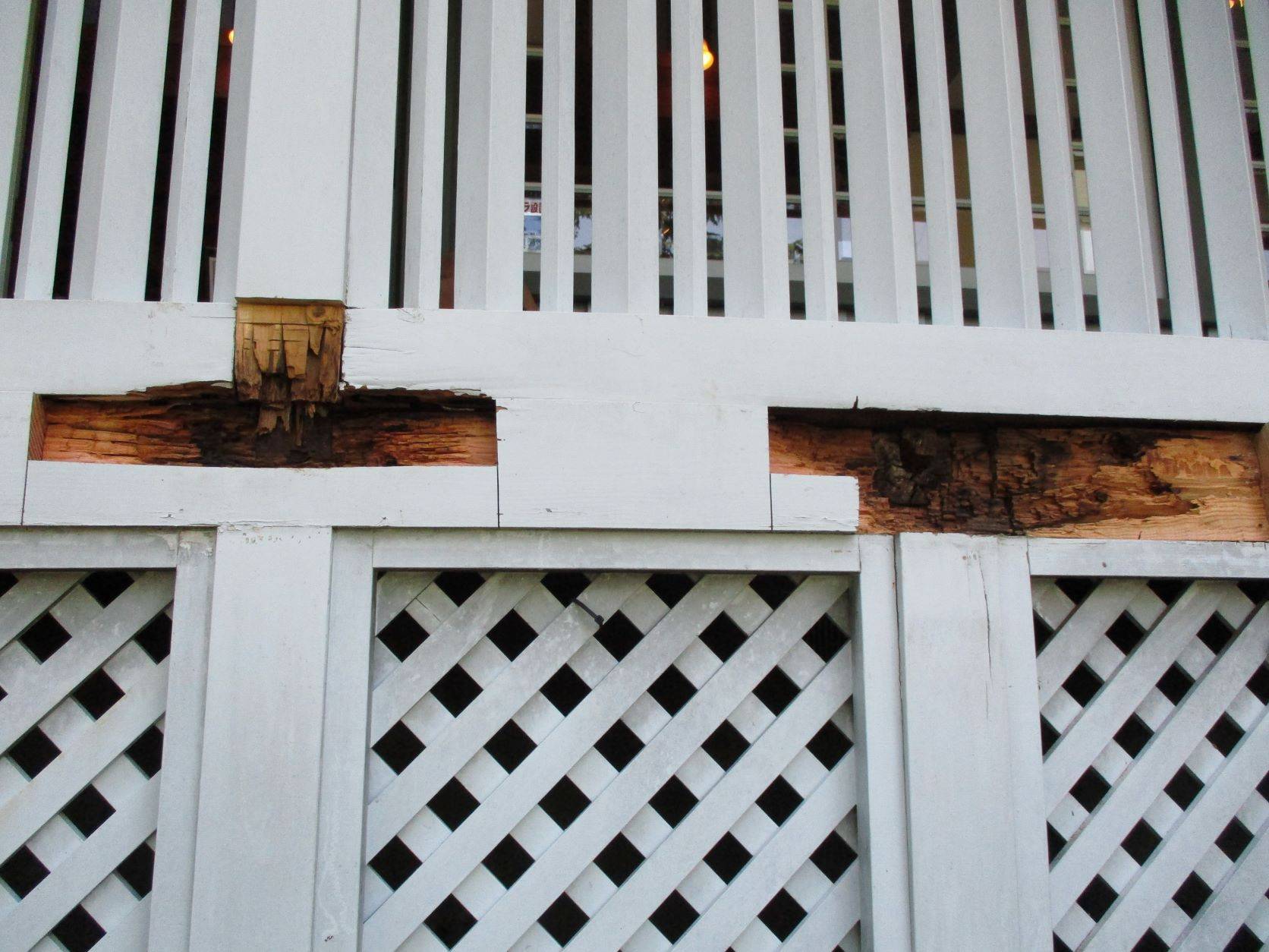 ❏テニス発祥記念館　工事中❏の写真