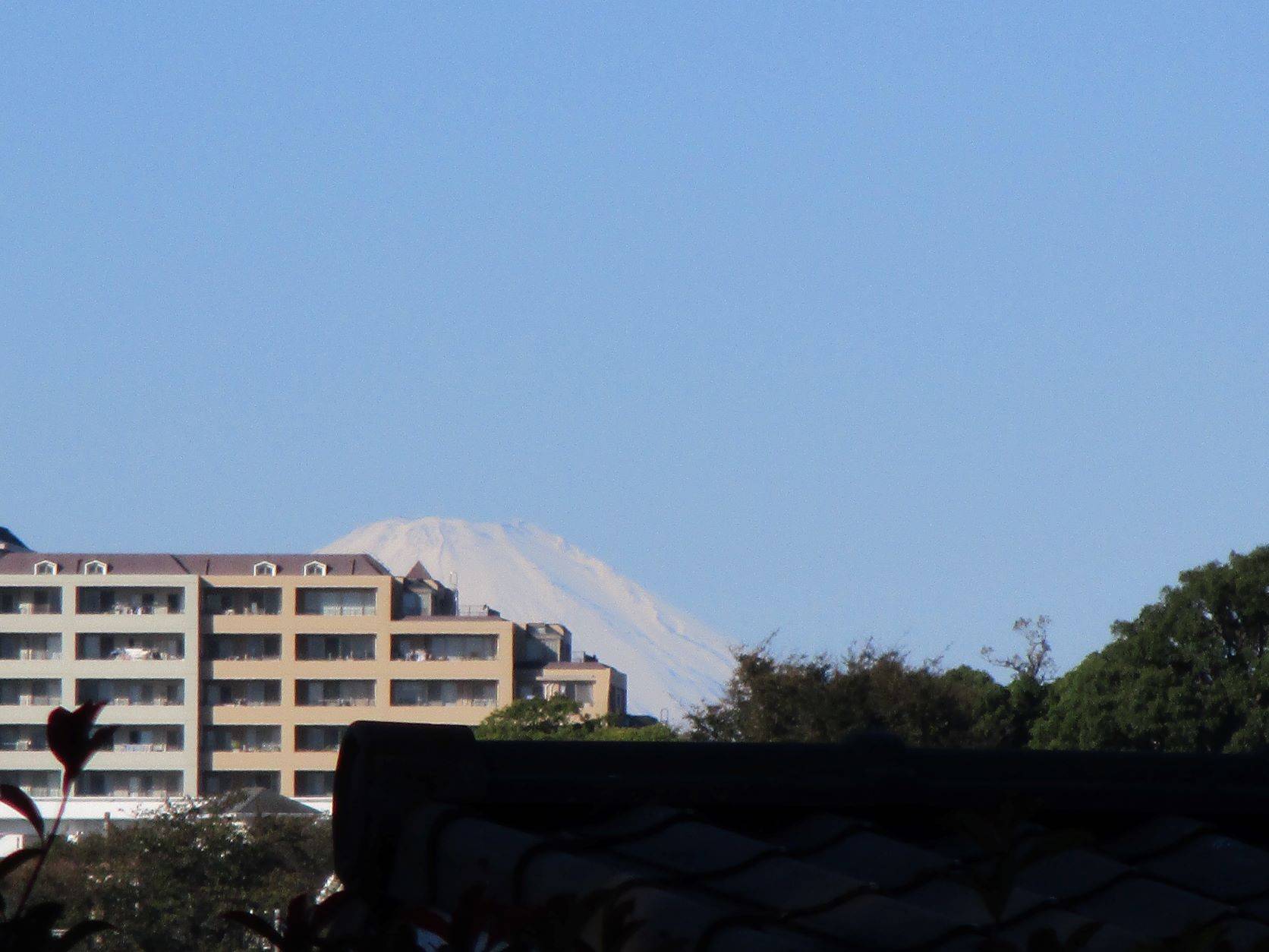 ❐富士山を望む❑の写真
