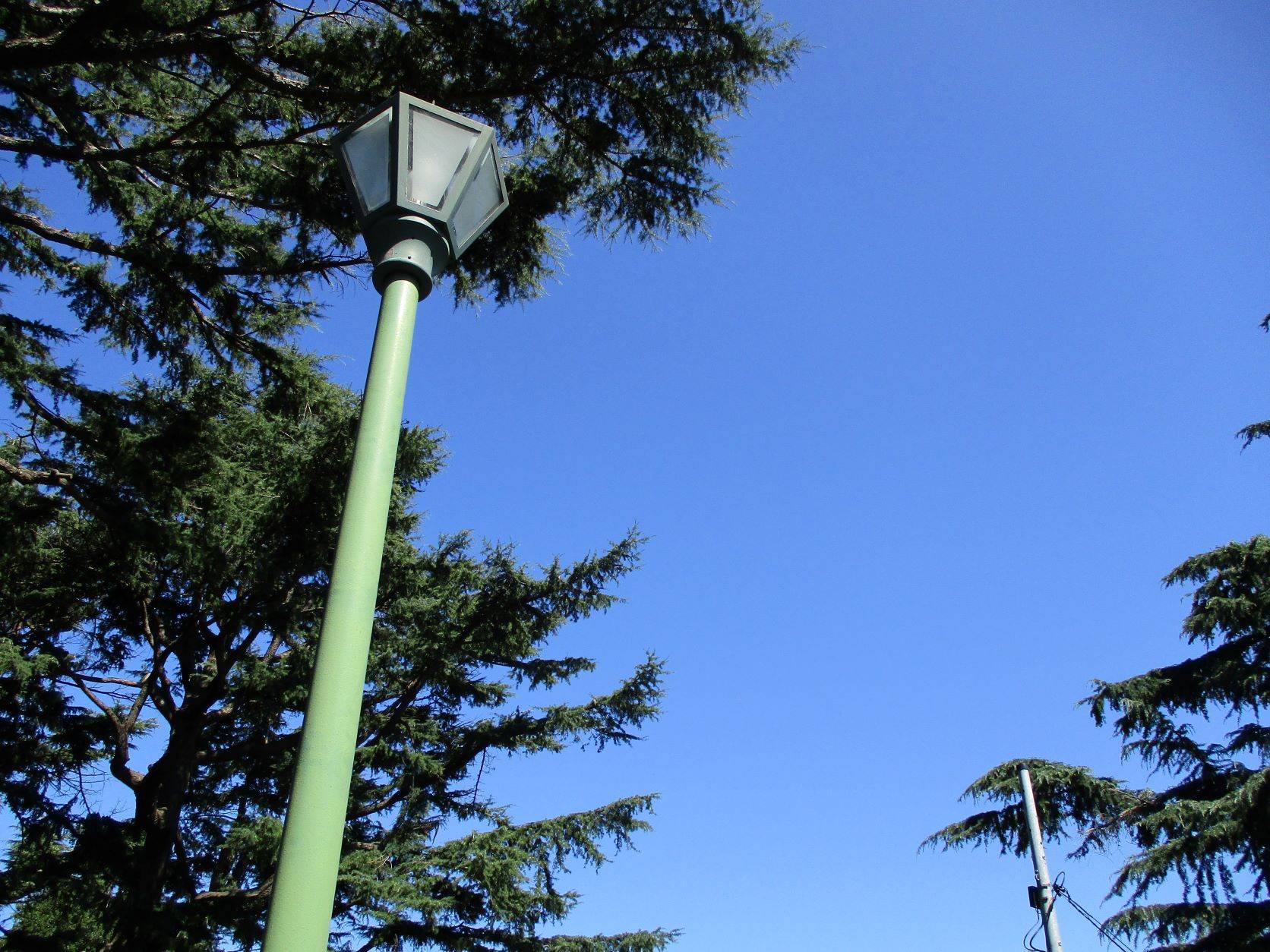 ✢台風一過✢の写真