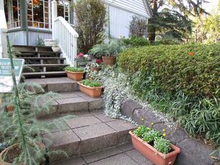 ✣記念館の冬花壇✣