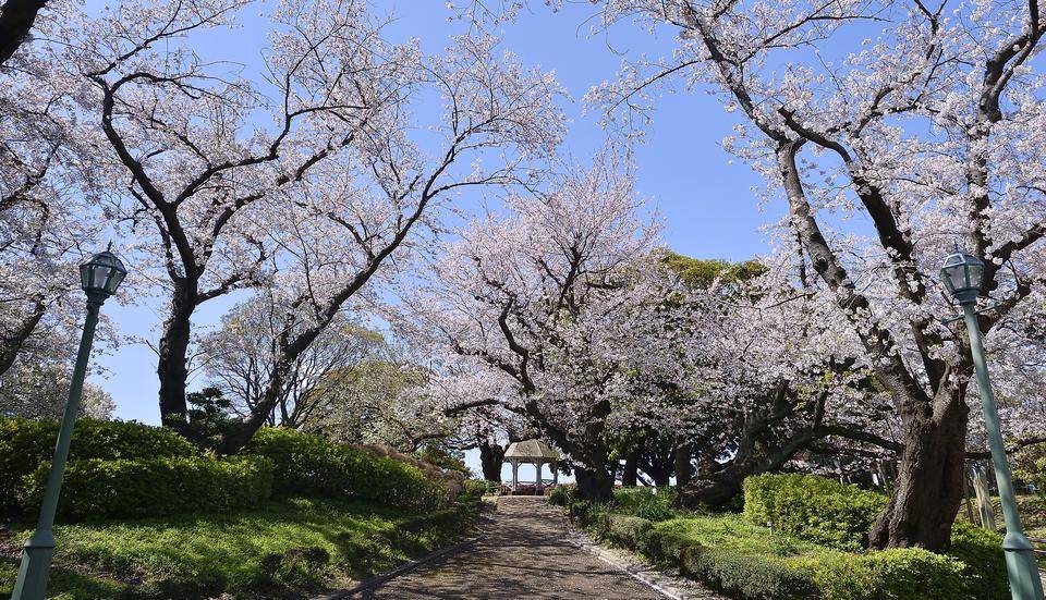 山手公園トップ画像2