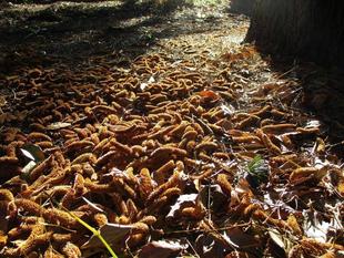 なんだこれは・・・？