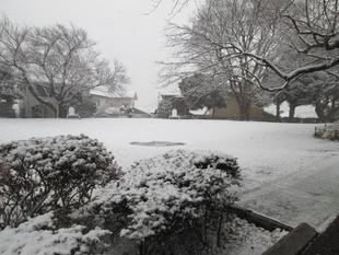 雪の山手公園