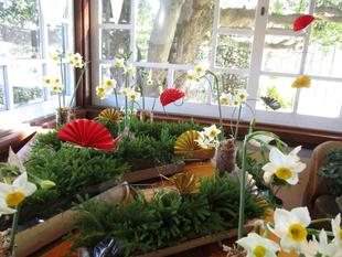 ❖テニス発祥記念のお正月❖