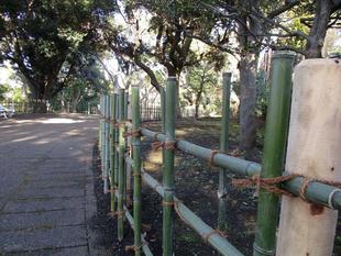 ❖山手公園の四ツ目垣❖