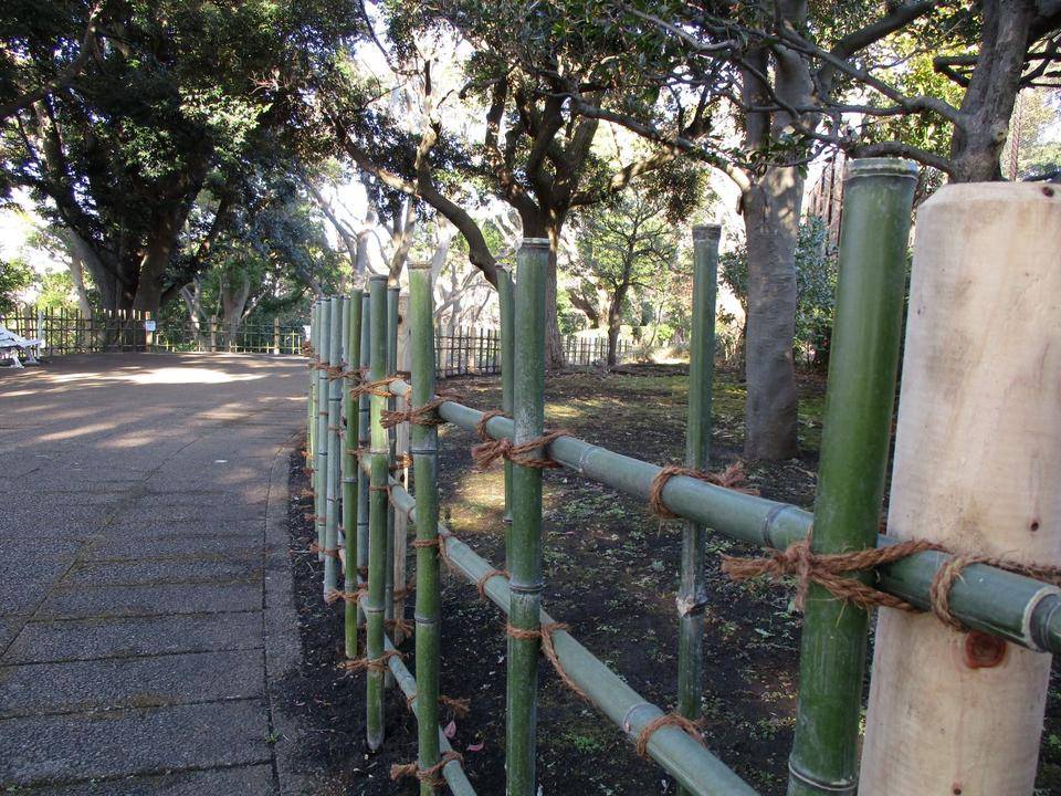 ❖山手公園の四ツ目垣❖の写真
