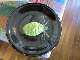 ✵ヒマラヤスギのめばえ✵