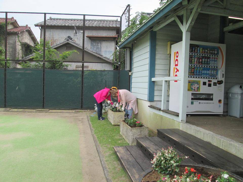 夏の花苗植えの写真