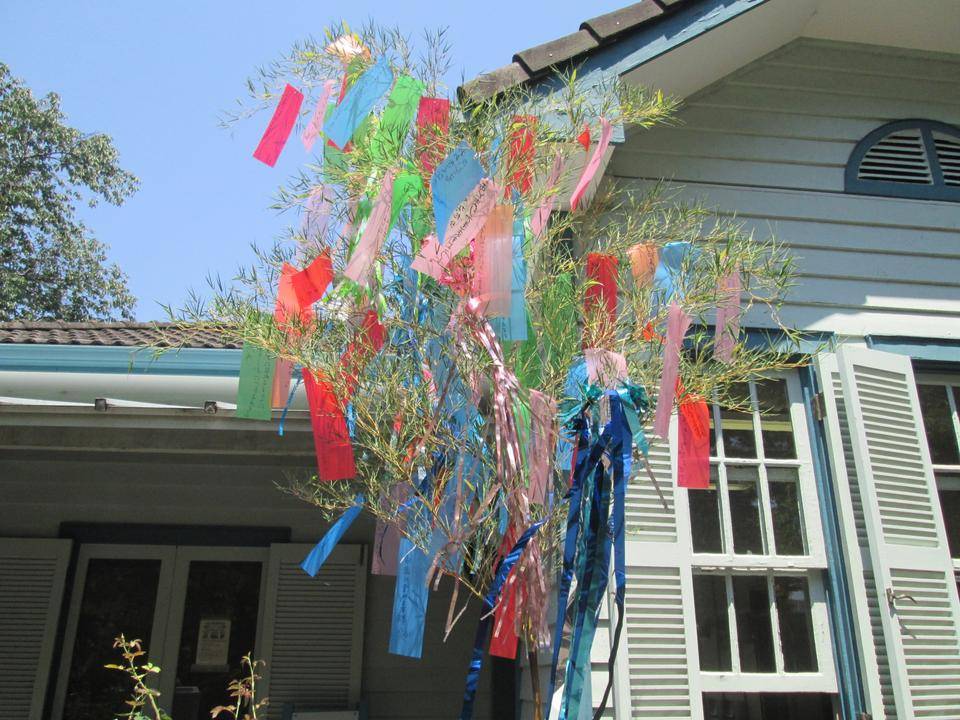 七夕飾りの写真