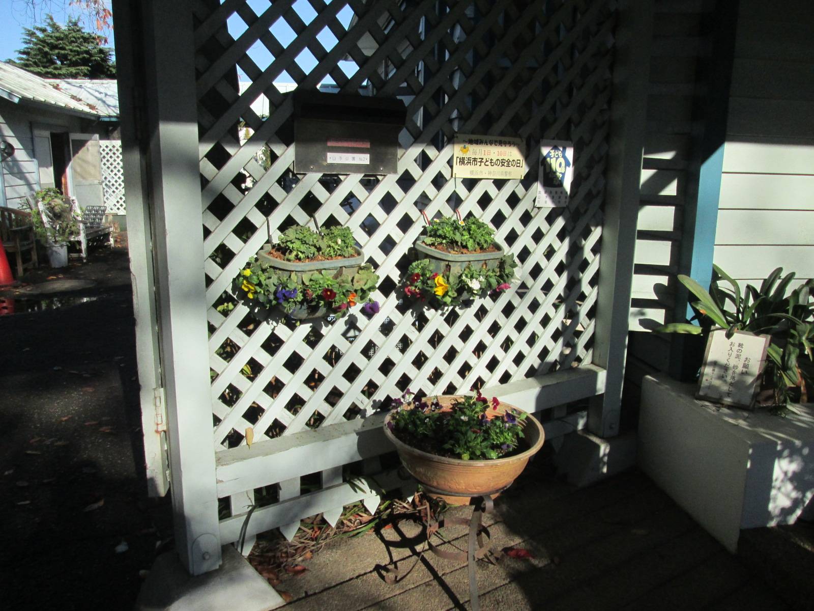 秋冬の花苗植えの写真