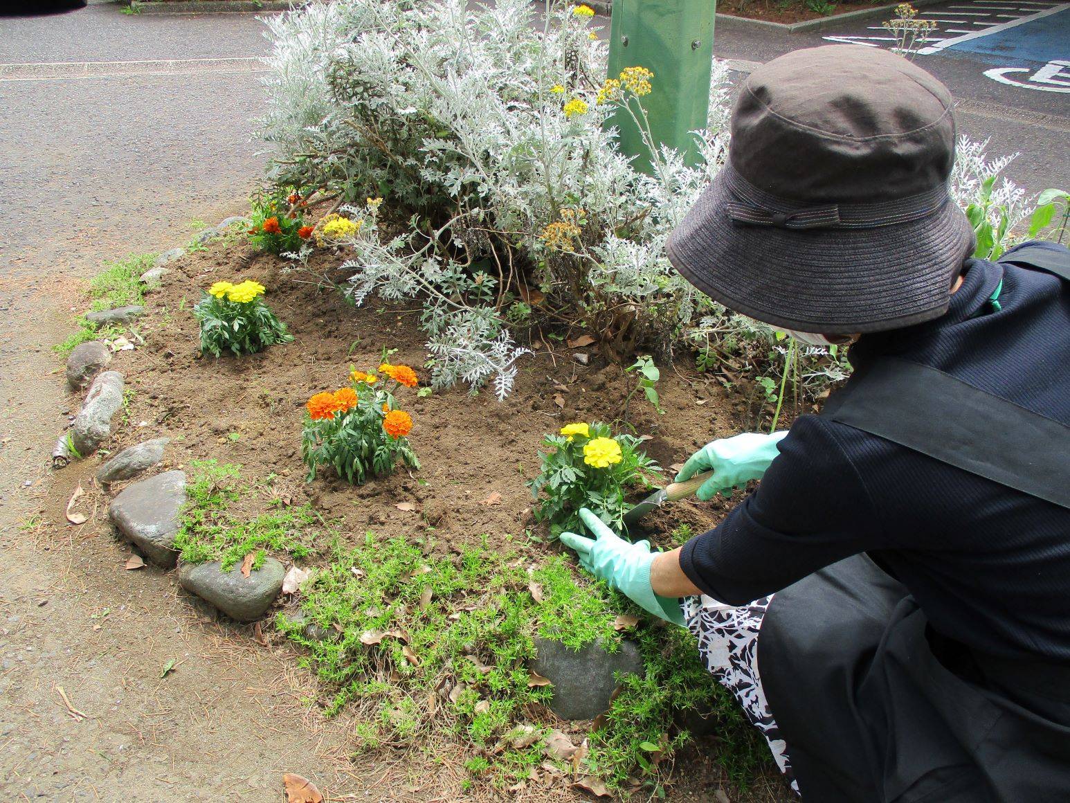 ✱テニス発祥記念館　夏の花植え✱の写真