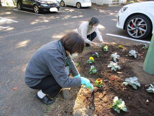 テニス発祥記念館花植え