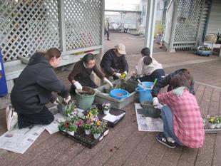 山手公園 秋の花苗植え