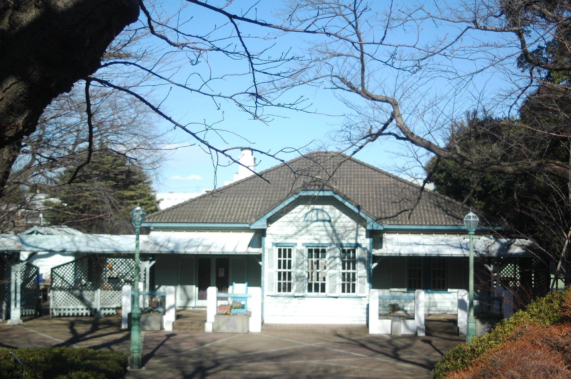 桜開花情報【2025年3月3日】の写真
