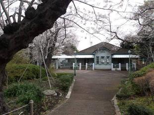 桜開花情報【2025年3月30日】