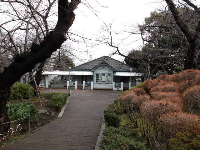 桜開花情報【2025年3月19日】の写真