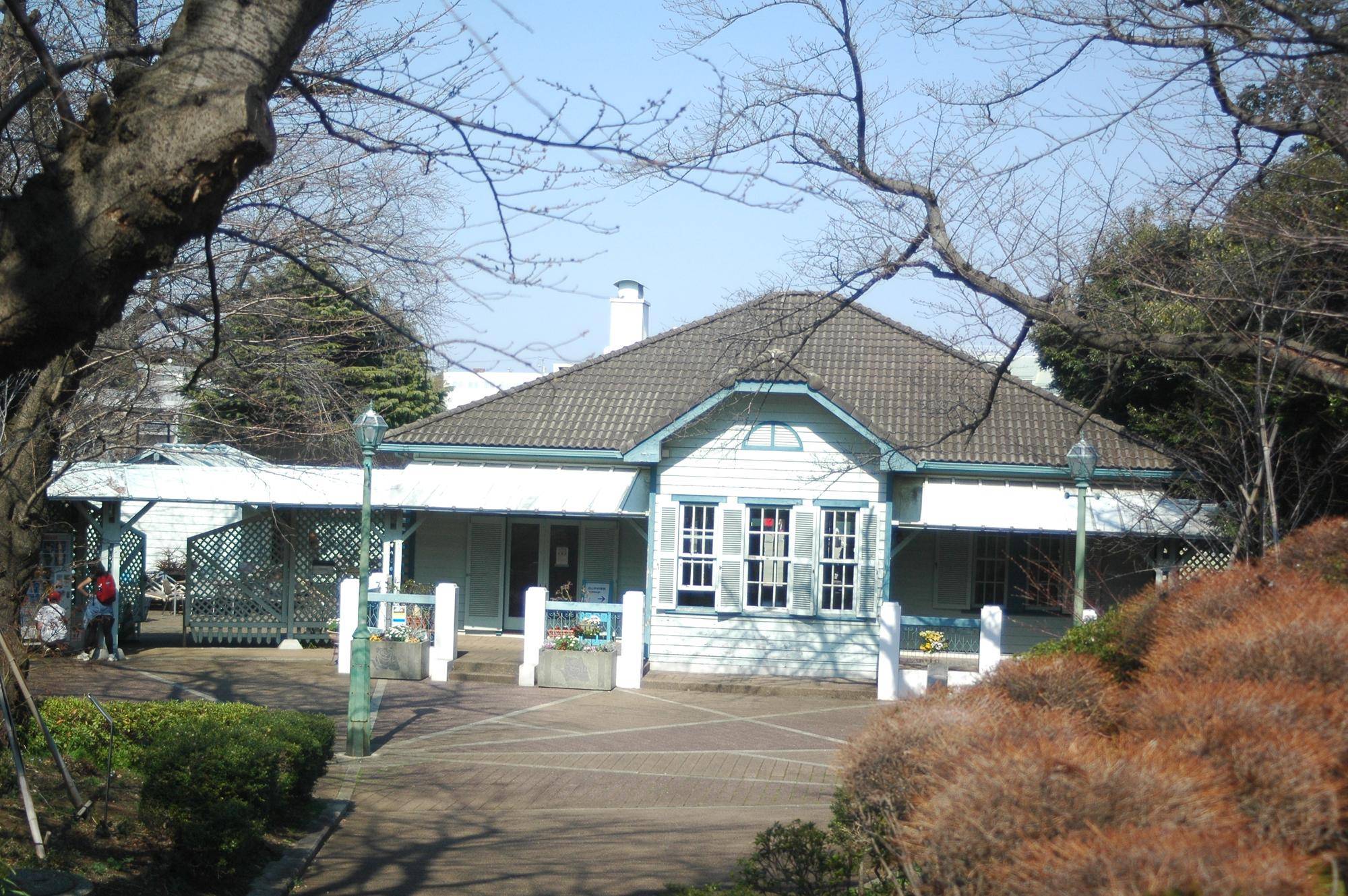 桜開花情報【2023年3月23日】の写真