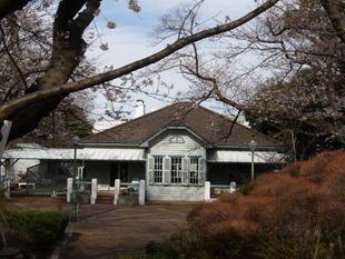 桜開花情報【2023年3月28日】