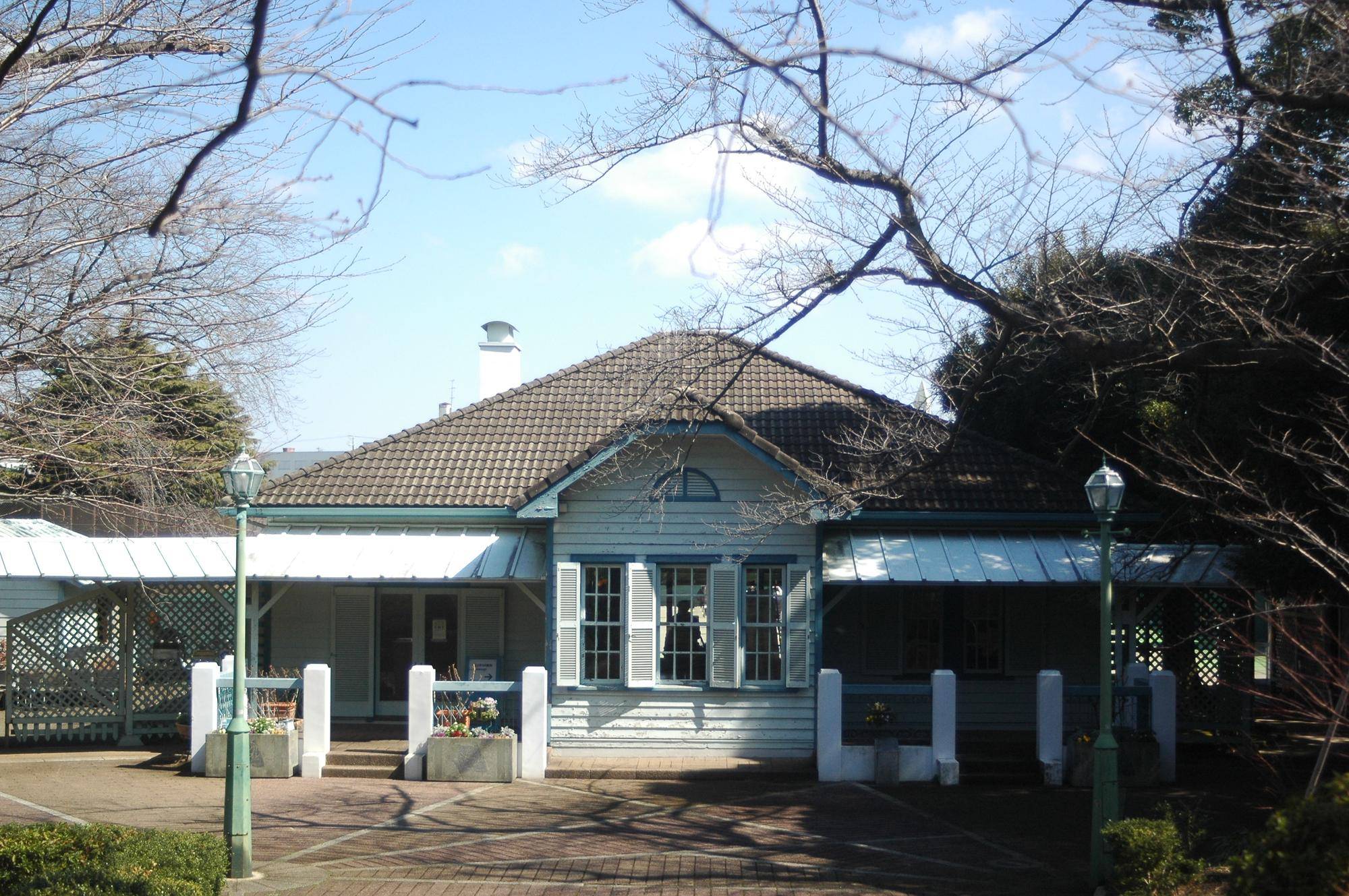 桜開花情報【2025年3月9日】の写真
