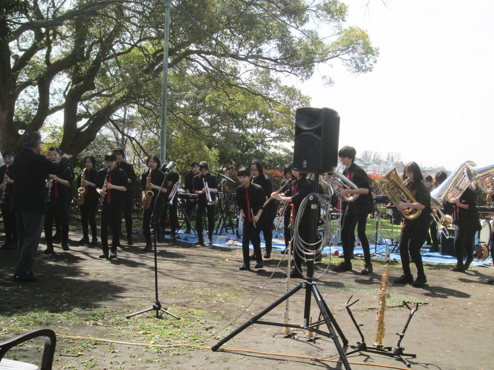 山手公園でヒマラヤスギコンサートを開催いたしますの写真