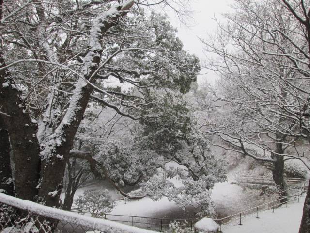 雪の山手公園 (2).JPG