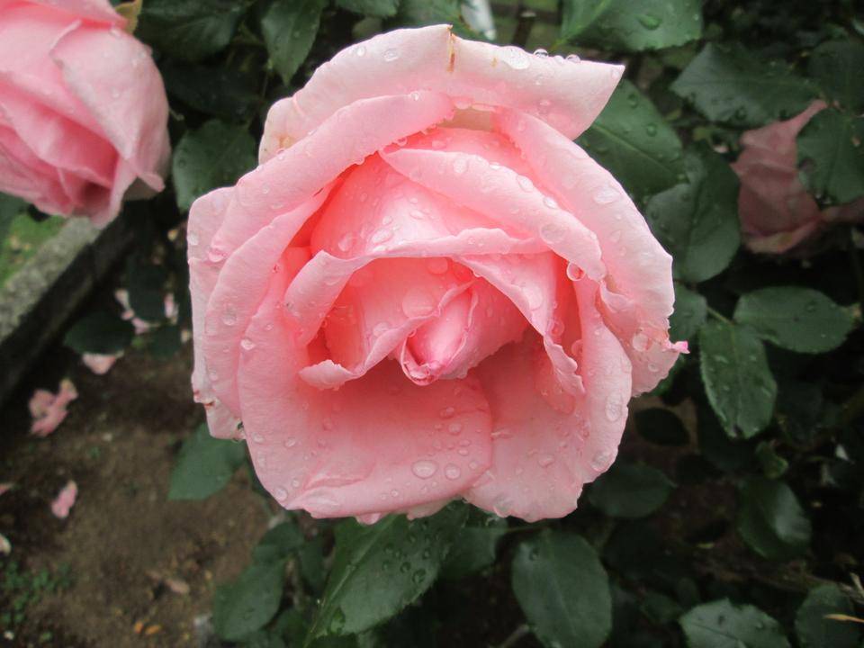 はまみらい (3).JPG