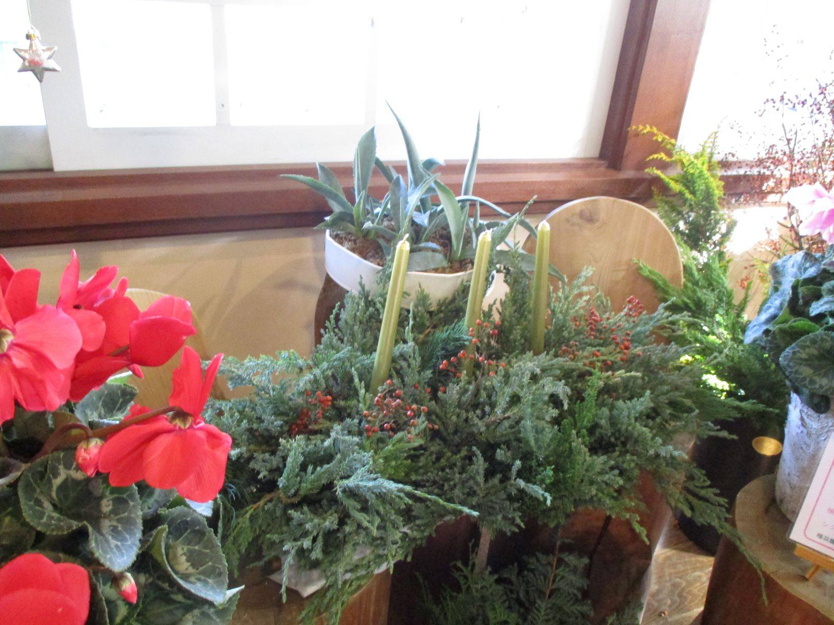 テニス発祥記念館 (5).JPG