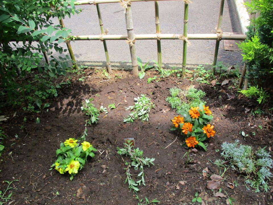 花植え8.JPG