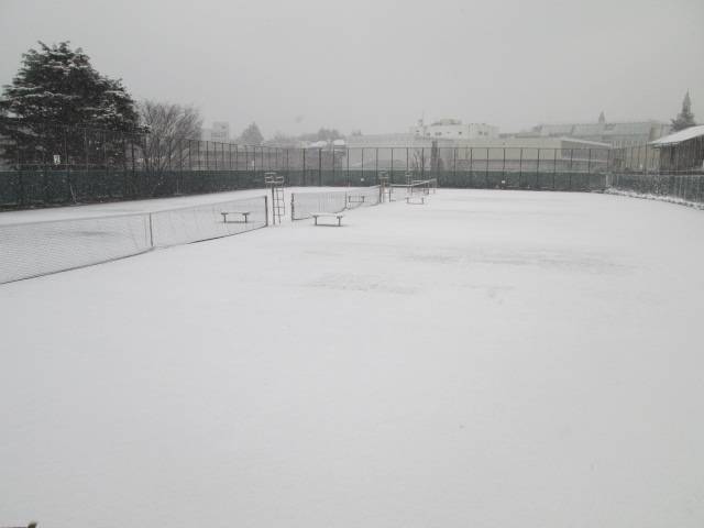 雪の山手公園 (4).JPG