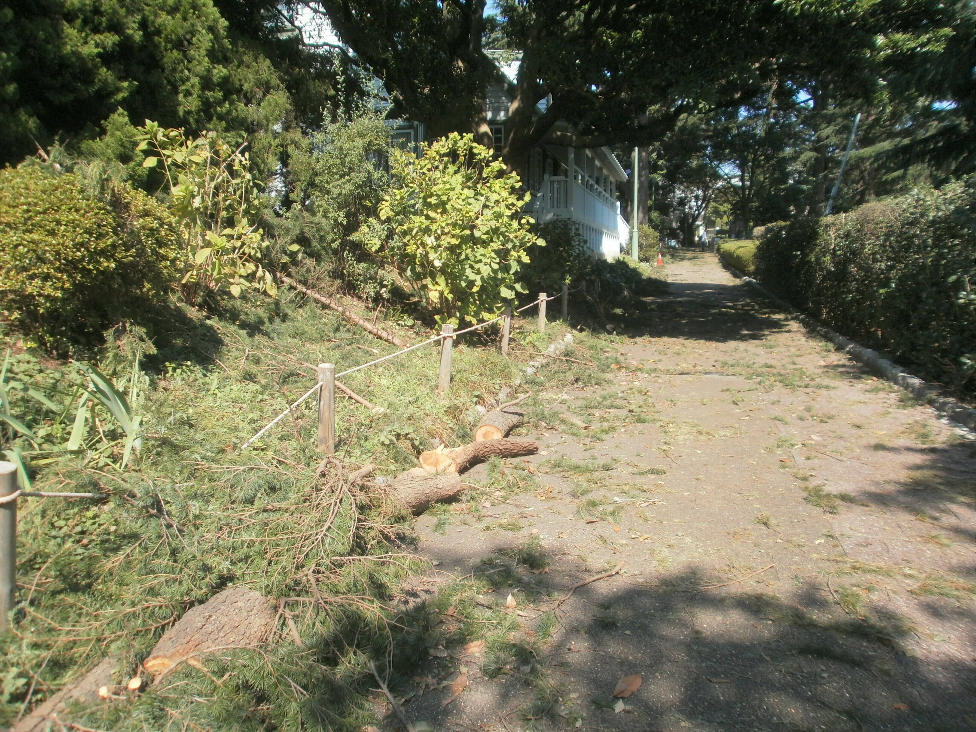 台風15号爪痕山手公園 (2).JPG