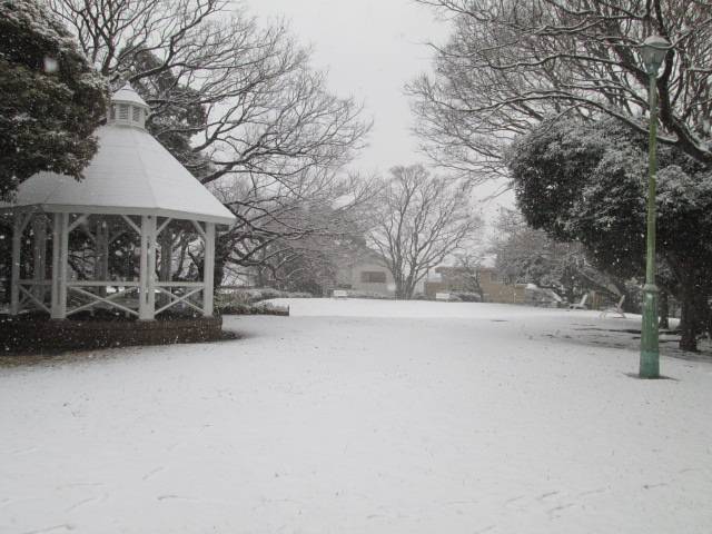 雪の山手公園 (3).JPG