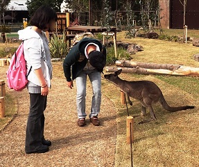 オセアニア区 リニューアルオープンの写真
