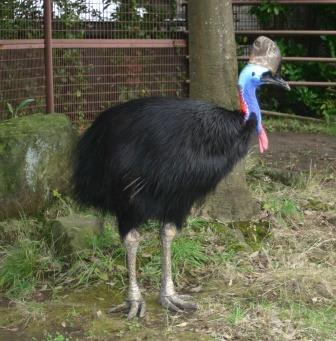 私は誰でしょう?の写真