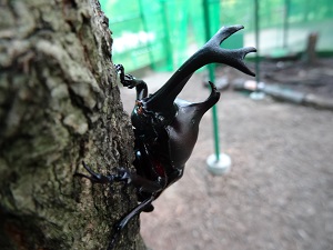 こんなところにも!の写真