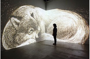 ナイト金沢第4週「映像祭~夜の動物と映像のコラボレーション~」の写真
