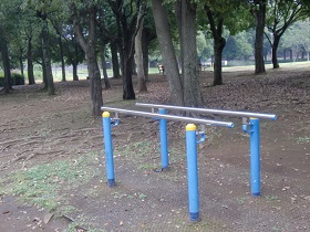 ひょうたん原っぱ 健康運動器具③の写真
